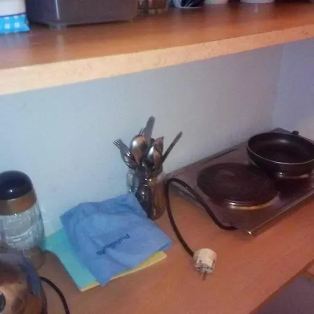 Flat 18 Minutes From Vaclavske Namesti