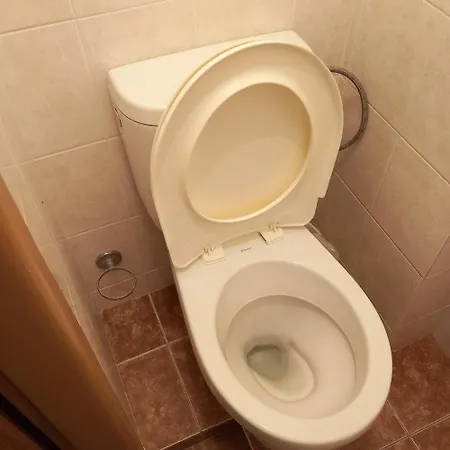 Flat 18 Minutes From Vaclavske Namesti Homestay