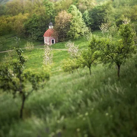 Privatunterkunft Flat 18 Minutes From Vaclavske Namesti