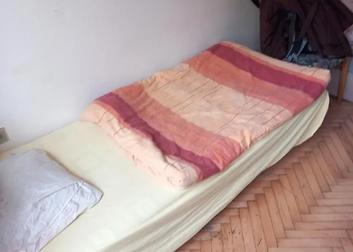 Flat 18 Minutes From Vaclavske Namesti *